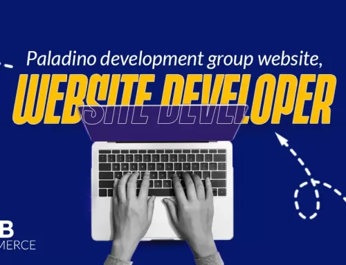 Paladino development group website